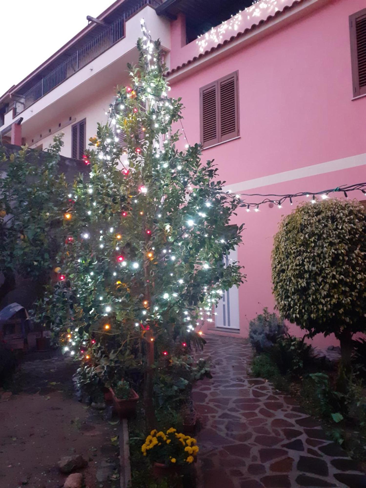 Bed and Breakfast L'Agrifoglio Di Emy Guspini Exterior foto